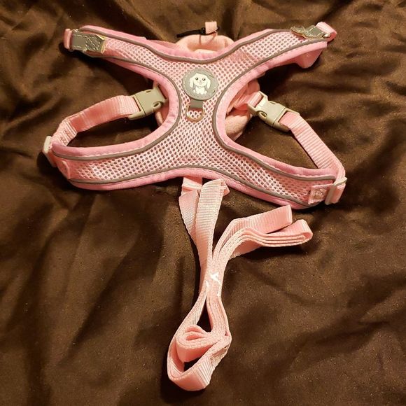 New with out tags little girl safety halter and lead - Picture 1 of 4